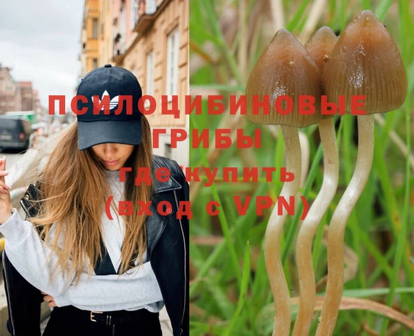 марки nbome Арсеньев