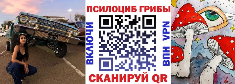 продажа наркотиков  Старая Купавна  Галлюциногенные грибы Psilocybine cubensis 